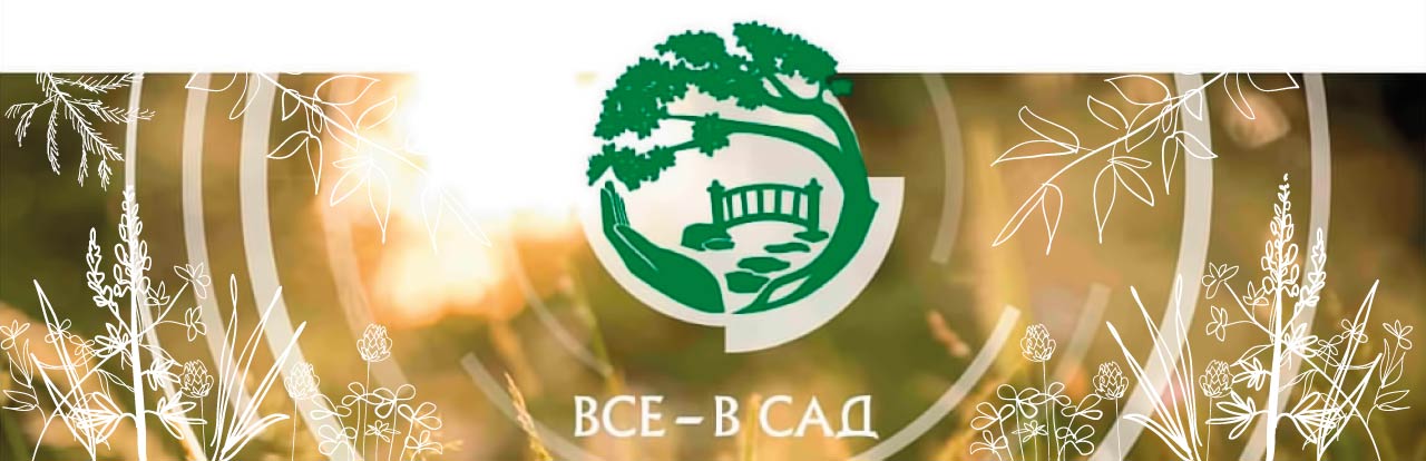 ВСЕ В САД 17 ИЮНЯ!